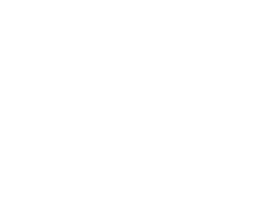 Fahrschule-Icon